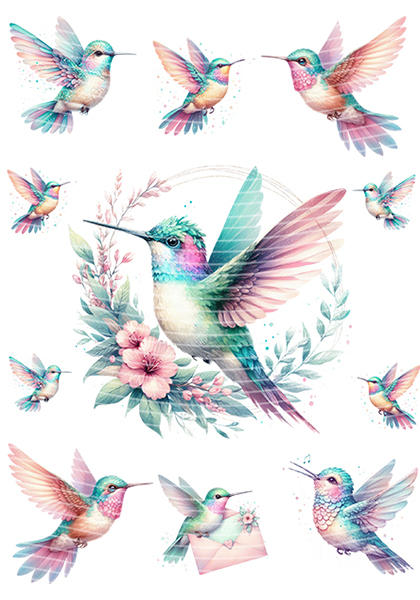 A5 Notebook Wraps-W-2698